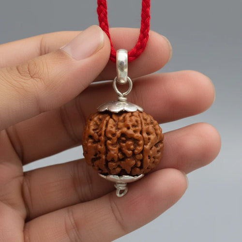 7 Mukhi Nepali Rudraksha Bead With Lab Tested Certificate